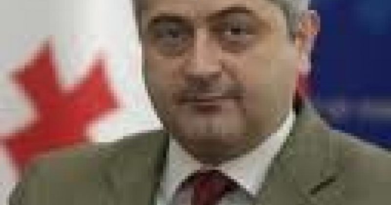 ნიკოლოზ ვაშაკიძე: კითხვები გამიჩინა ივანიშვილის სომხეთში გაკეთებულმა განცხადებებმა