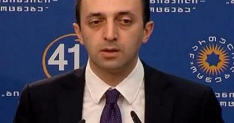 ღარიბაშვილი: მერი და მისი თანმხლები პირები მოქმედებდნენ, როგორც პროფესიონალ პროვოკატორთა ჯგუფი