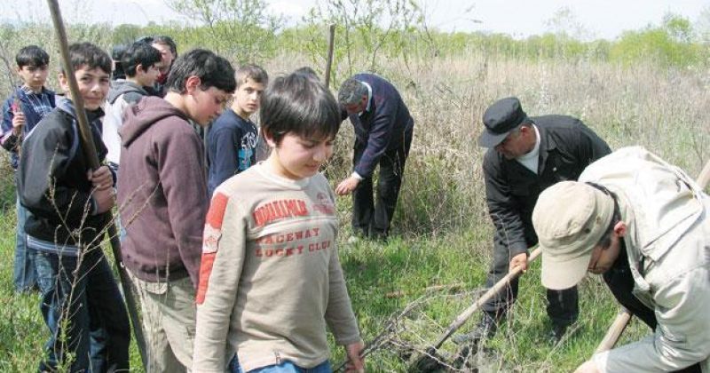 საქართველოს ჭალისა და მთების ტყეები აღდგება