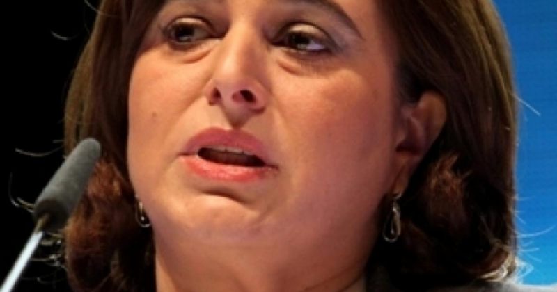 მანანა კობახიძე: კლინტონი საკონსტიტუციო ცვლილებების გამოუყენლობით დაინტერესდა