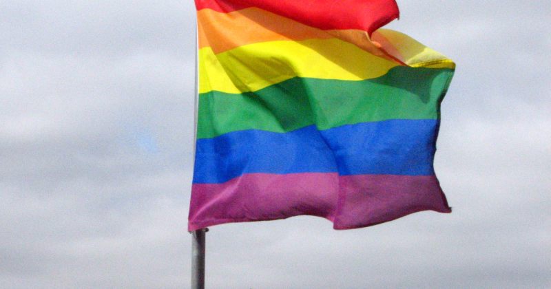 საქართველოში გავრცელებული მითები ჰომოსექსუალთა შესახებ - WISG-ის ანგარიში