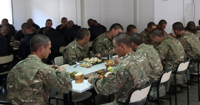 ქართული კვების კომპანიის მენეჯმენტი: ჯარისკაცები საკვებით არ მოწამლულან