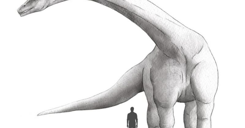 არგენტინაში მსოფლიოში ყველაზე დიდი დინოზავრის ჩონჩხი აღმოაჩინეს