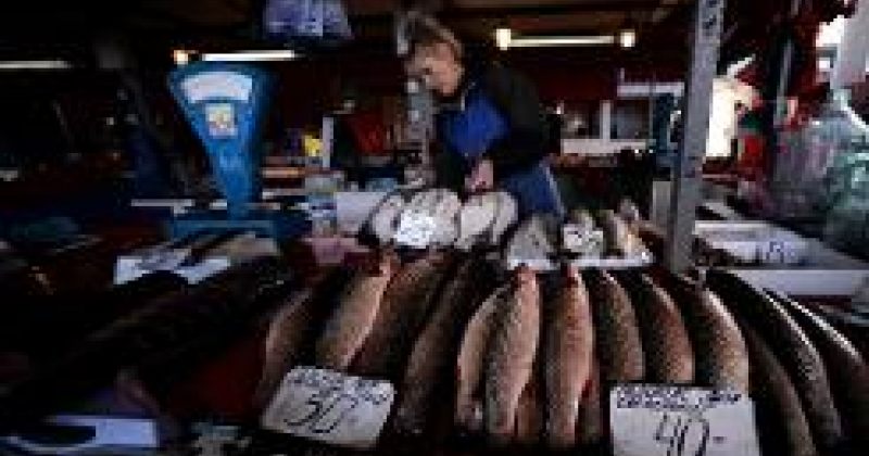 რუსეთი ლატვიიდან და ესტონეთიდან თევზის იმპორტს აკრძალავს