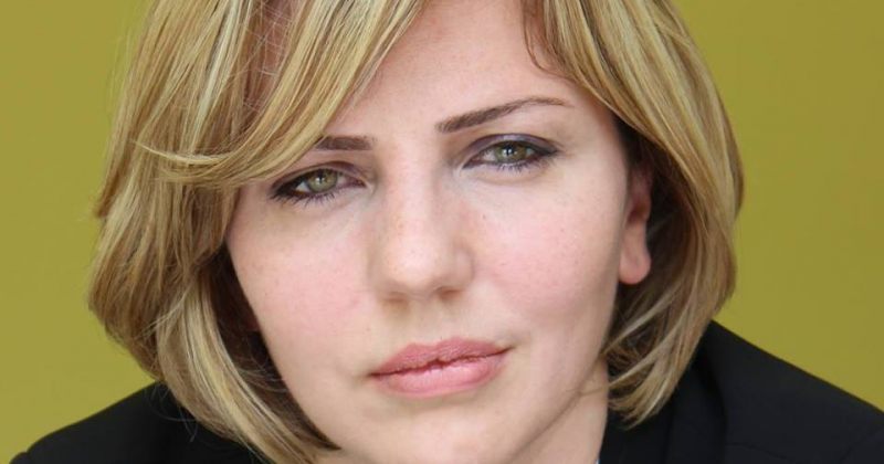 დოლიძე: შესაძლოა, სასამართლო მანტიასთან შეუსაბამო კანდიდატებით დაკომპლექტდეს