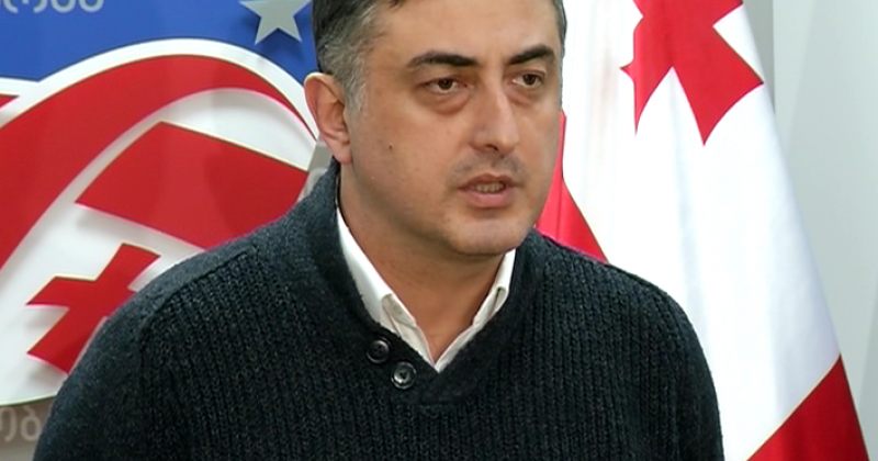 რატიანი განმარტავს, რატომ მიმართა ცესკოს საარჩევნო სიასთან დაკავშირებით