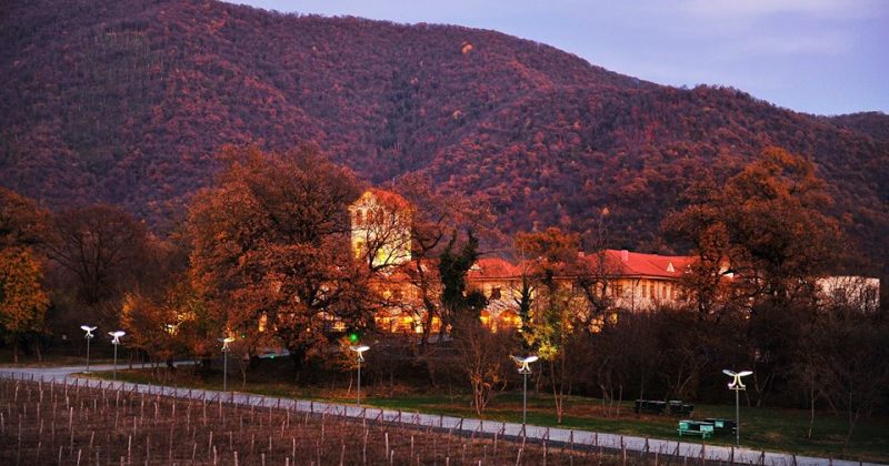 ტურიზმის ადმინისტრაცია: კახეთის სასტუმროებში ორკვირიანი 25%-იანი ფასდაკლებებია