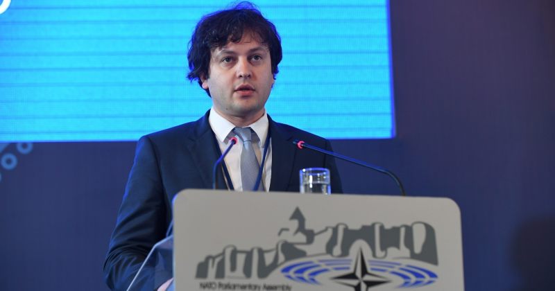 კობახიძე: საპრეზიდენტო კამპანიას შეიძლება ვუწოდოთ, სუსტი კაცები ძლიერი ქალის წინააღმდეგ