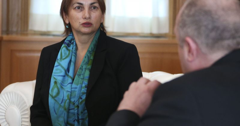 პრეზიდენტმა ცხრა ქვეყანაში ახალი ელჩი დანიშნა, მათგან ქალი მხოლოდ ერთია
