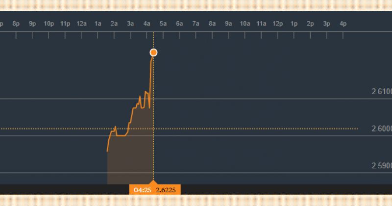 BLOOMBERG-ის სისტემაში დოლარის ღირებულება 2.62 ლარი გახდა