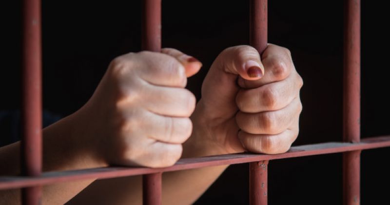 სასჯელაღსრულება: პატიმართა შემოწმების პროცედურა ევროპულ სტანდარტებს შეესაბამება