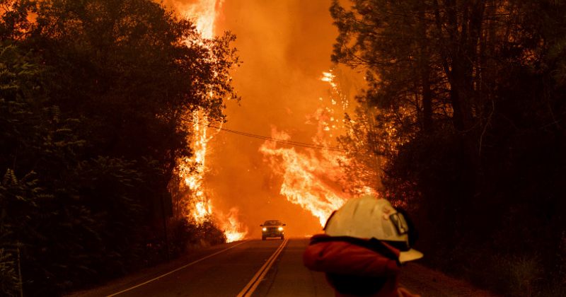 კალიფორნიაში "ცეცხლოვანი ტორნადოების" გამო სახლები ათასობით ადამიანმა დატოვა [ფოტოები]