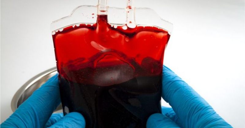 კუჭის ბაქტერიის ფერმენტს ადამიანის სისხლის ჯგუფის შეცვლა შეუძლია 