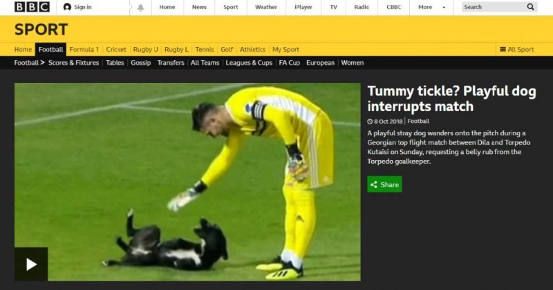 გორის "დილას" სტადიონზე შეპარული ძაღლი BBC-მ გააშუქა (VIDEO)