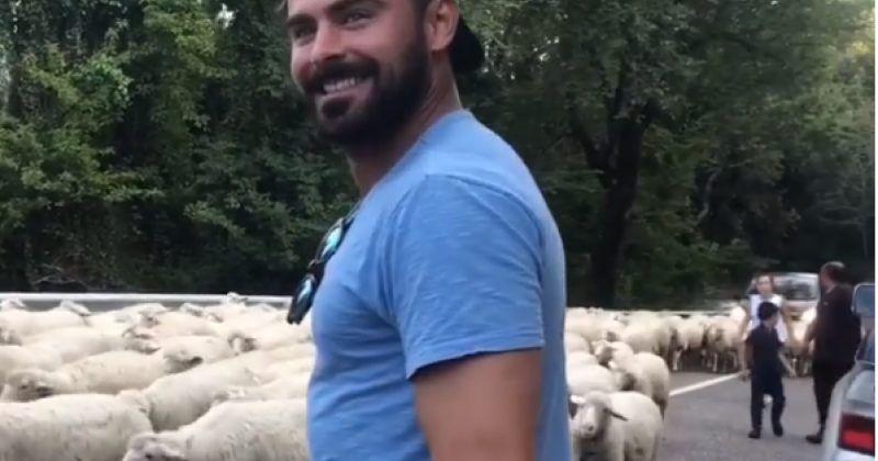 ზაკ ეფრონი იტალიაში ცხვრების საცობში მოხვდა (VIDEO)