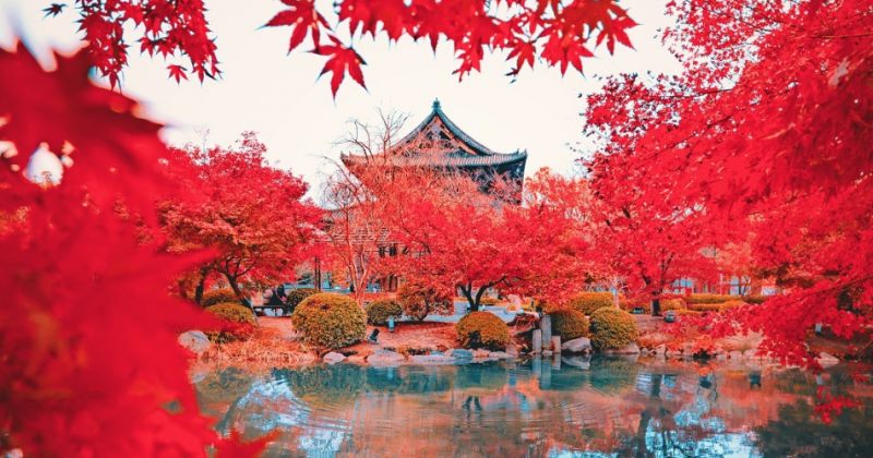 იაპონელი ფოტოგრაფის მოგზაურობა კიოტოსა და ნარაში - გალერეა