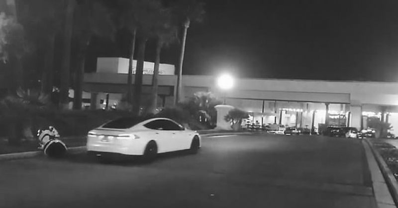 Tesla-ს უპილოტო მანქანამ ჰუმანოიდი რობოტი გაიტანა [Video]