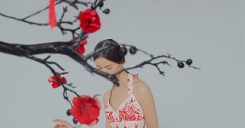 Dior-ის ჩინური ახალი წელი - ფოტოები