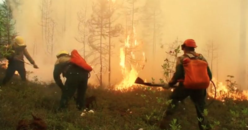 რუსეთში, ციმბირში რამდენიმე კვირაა მილიონობით ჰექტარი ტყის ფართობი იწვის