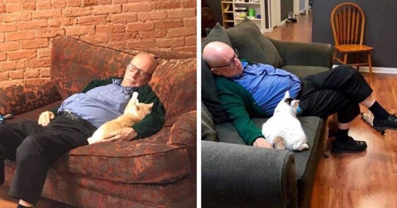 აშშ-ში 75 წლის მოხალისე ცხოველთა თავშესაფარს ყოველდღე სტუმრობს და კატებთან იძინებს [გალერეა]