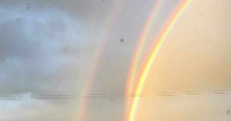 დღის ფოტო: კადრში აღბეჭდილი ოთხი ცისარტყელა