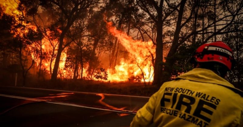 ცეცხლის 100-ზე მეტი კერა და 4 დაღუპული მოქალაქე - ავსტრალიაში მასშტაბურ ხანძარს ებრძვიან