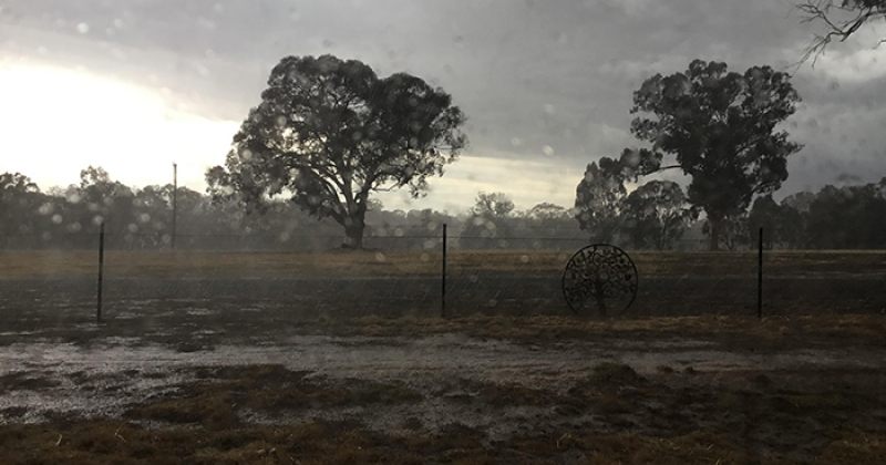 ავსტრალიაში წვიმს, ხანძრის 30 კერა ლიკვიდირებულია