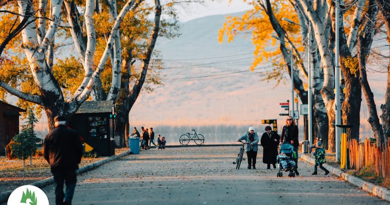 ლისის ტბის ადმინისტრაცია ხალხს მოუწოდებს, რომ თავი შეიკავონ ტბაზე სტუმრობისგან