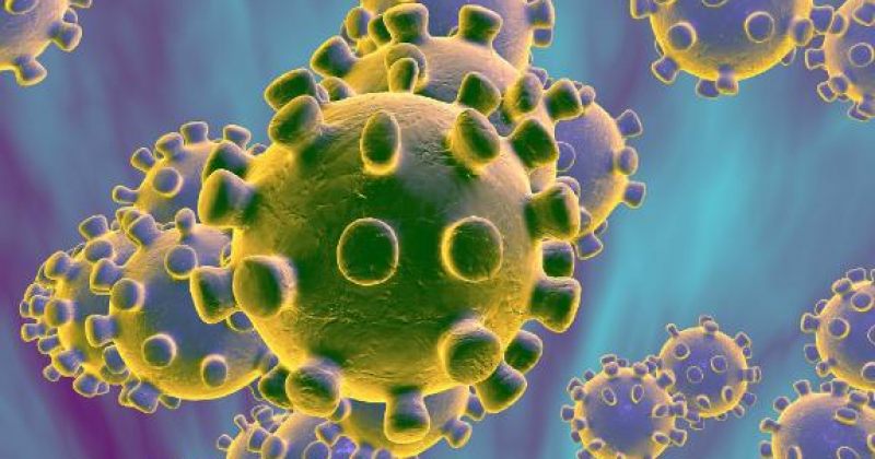 საქართველოში კორონავირუსით ინფიცირებული 13 პაციენტიდან 12 თბილისში მკურნალობს, 1 - საჩხერეში