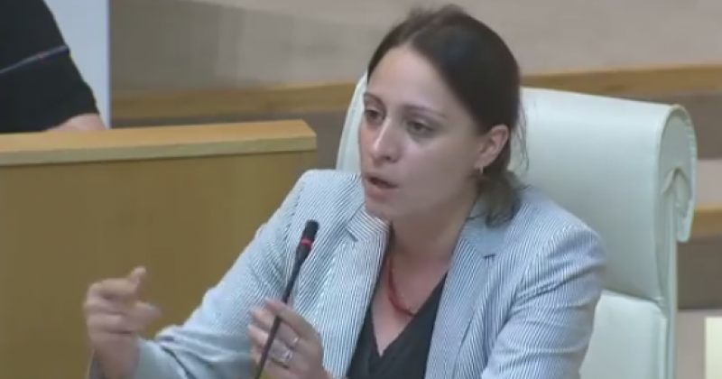 ხოშტარია გახარიას: გადაეცით მაგ თქვენს სუს-ს და ზედ ბიძინა ივანიშვილს, რომ ფეხებზე გვკიდია