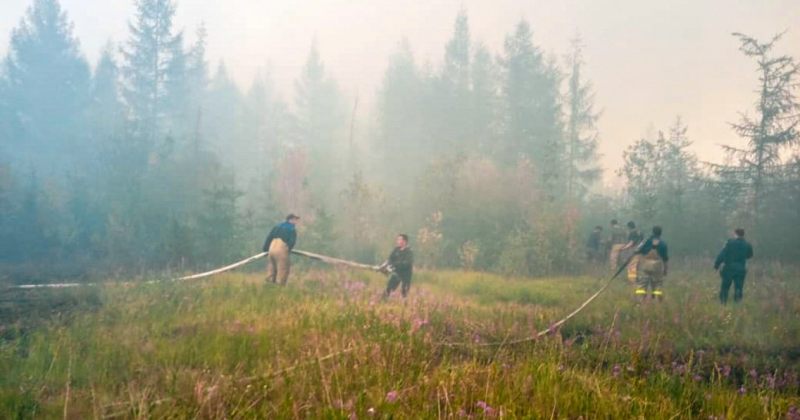 რუსეთში, ციმბირში ტყის ხანძრების 300-მდე კერა გაჩნდა