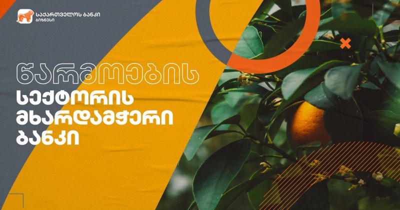 ® საქართველოს ბანკის მხარდაჭერით ადგილობრივ ბაზარზე კომპანია Georgia's Natural-ის ბრენდი გამოჩნდა