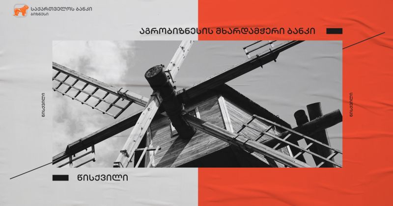 ® საქართველოს ბანკის მხარდაჭერით გურიაში, სოფელ დვაბზუში წისქვილი აშენდა