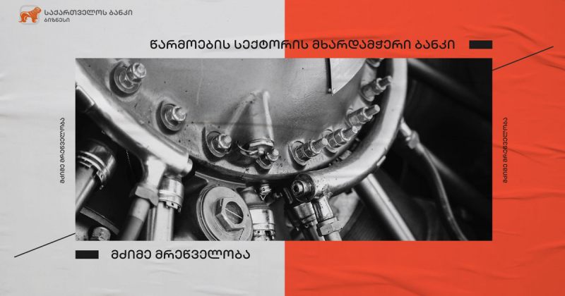 ® საქართველოს ბანკის ფინანსური მხარდაჭერით შპს კაია-მ  ახალი საწარმოო ხაზი გახსნა