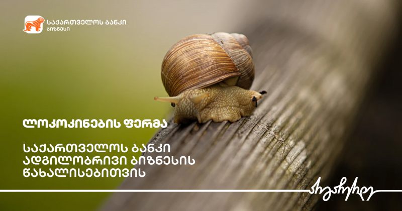 ® საქართველოს ბანკის მხარდაჭერით ზუგდიდში ლოკოკინების ფერმა გაშენდა