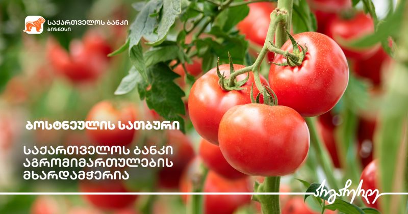 ® საქართველოს ბანკის მხარდაჭერით კასპში სასათბურე ბიზნესი ფართოვდება
