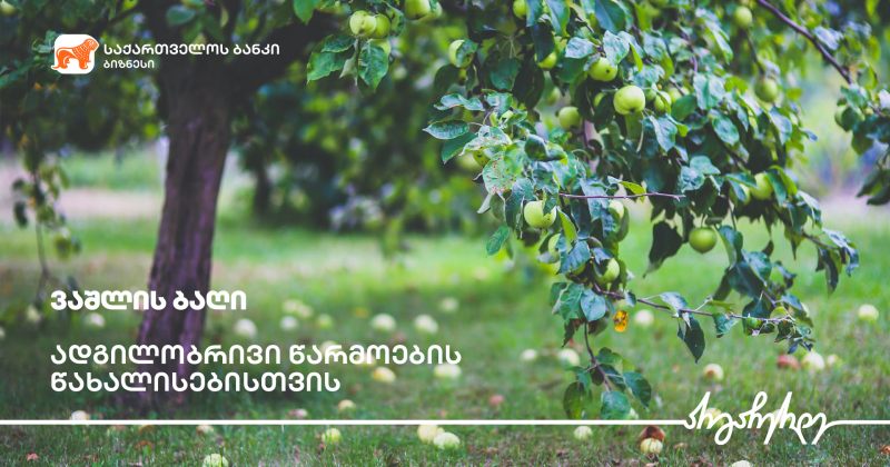 ® საქართველოს ბანკის ფინანსური მხარდაჭერით გორში ვაშლის ბაღები გაშენდა