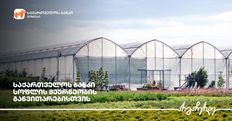 ® საქართველოს ბანკის მხარდაჭერით აბაშაში სათბურები აშენდა
