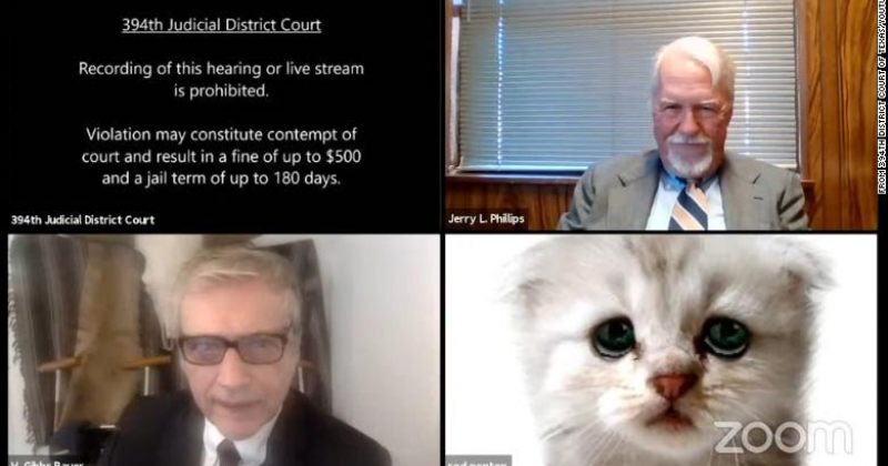 ადვოკატი ვირტუალურ სასამართლო სხდომაზე შემთხვევით კატის ფილტრით ჩაერთო — VIDEO