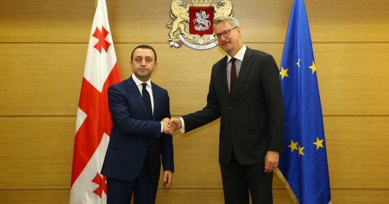 კარლ ჰარცელი ირაკლი ღარიბაშვილს შეხვდა