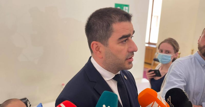 "არ მგონია, ხარისხობრივად პარლამენტს რამე შეემატოს" – პაპუაშვილი ენმ-ს პარლამენტში შესვლაზე