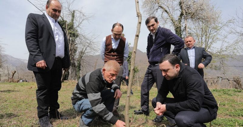 ღარიბაშვილი: დავიწყე სიარული რეგიონებში, რომ პირადად გავეცნო პროგრესს