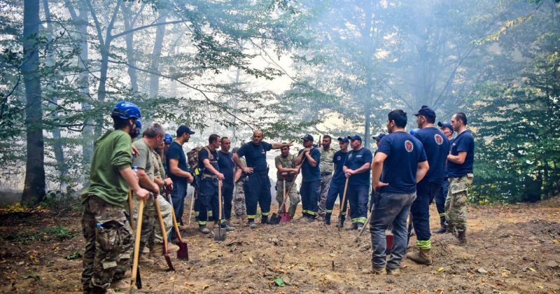 საგანგებო: სოფელ შილდის ტყეში ხანძრის ჩაქრობის სამუშაოებში ჩართულია გვარდია და ავიაცია