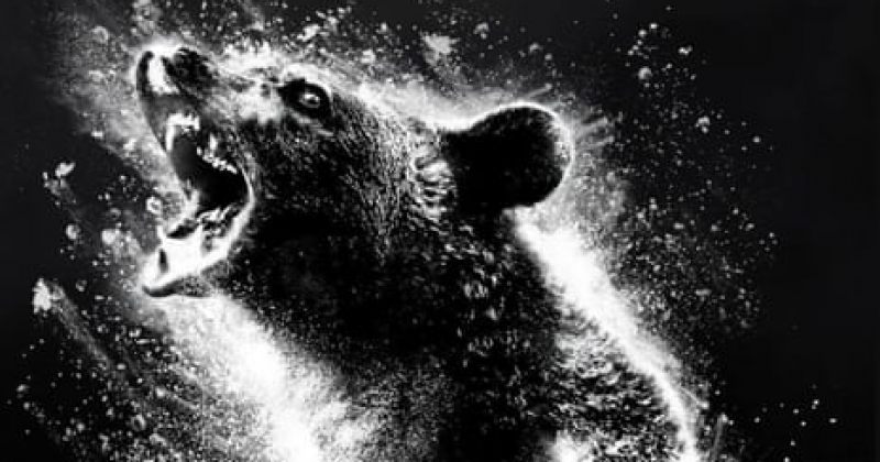 დათვი კოკაინის ზემოქმედების ქვეშ – ახალი ჰორორის, COCAINE BEAR-ის ტრეილერი გამოვიდა