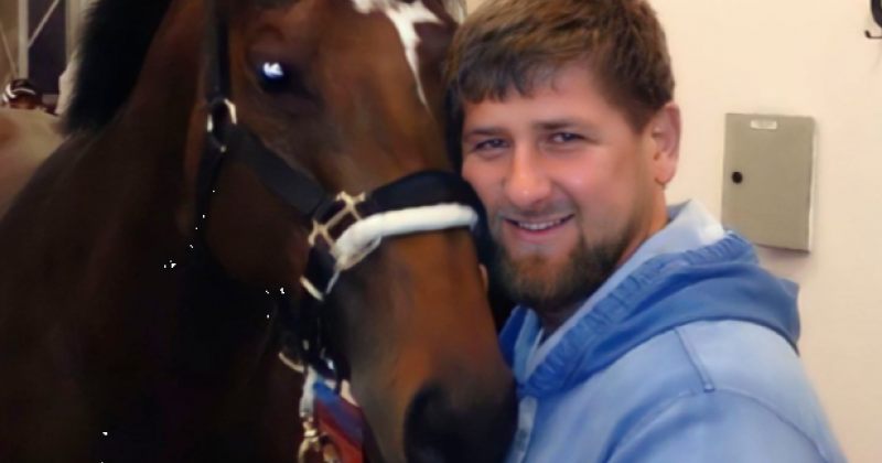 "იცოდნენ ზაზუს მიმართ ჩემს სიყვარულზე" – კადიროვმა უკრაინას ცხენის სანაცვლოდ $18 000 მისცა