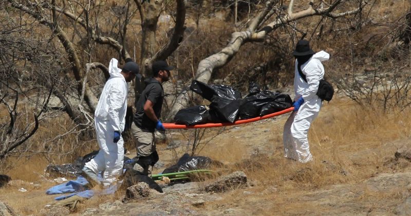 45 ჩანთაში ნაპოვნი სხეულის ნაწილები დაკარგულ 7 ახალგაზრდას ეკუთვნის - მექსიკა