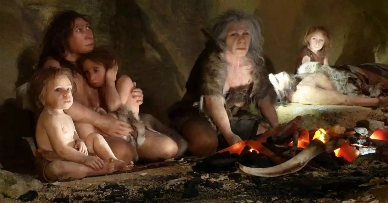 კვლევა: 15 000 წლის წინ კანიბალიზმი დაკრძალვის ჩამნაცვლებლად გამოიყენებოდა