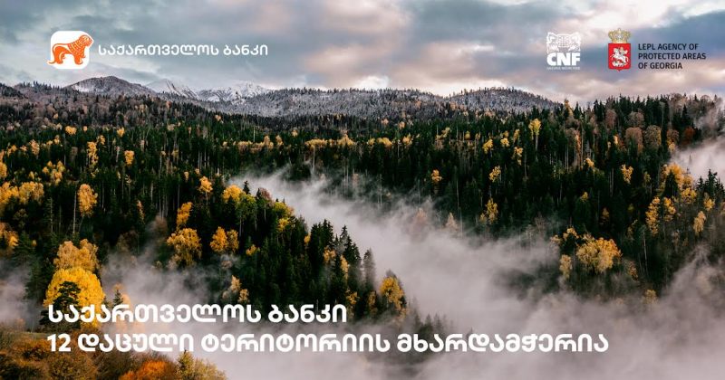 (რ) BOG-ის მხარდაჭერით საქართველოში დაცული ტერიტორიების პირველი საერთაშორისო სამიტი იმართება