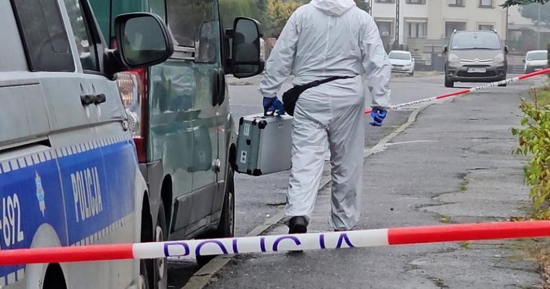 პოლონური მედია: 41 წლის ქალის მკვლელობაში ბრალდებული საქართველოში იმყოფება 