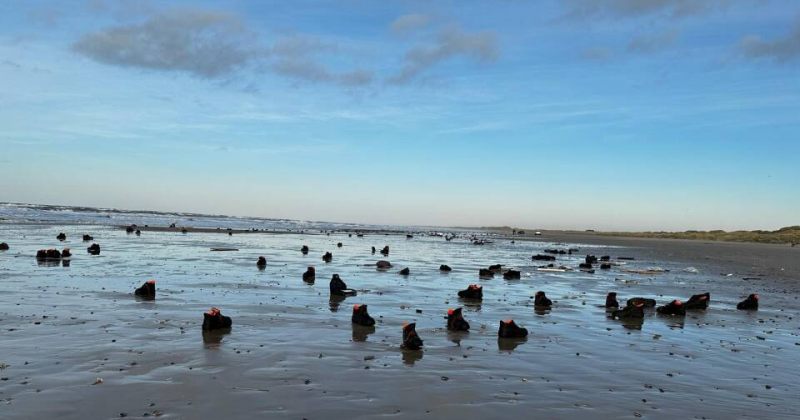 დანიის სანაპიროზე წყალმა ათასობით ფეხსაცმელი გამორიყა